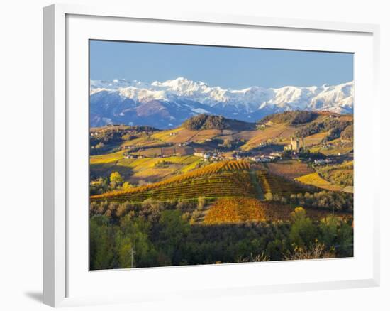 Vineyards and Castle, Grinzane Cavour, Cuneo District, Langhe-Peter Adams-Framed Photographic Print