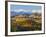 Vineyards and Castle, Grinzane Cavour, Cuneo District, Langhe-Peter Adams-Framed Photographic Print