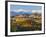 Vineyards and Castle, Grinzane Cavour, Cuneo District, Langhe-Peter Adams-Framed Photographic Print