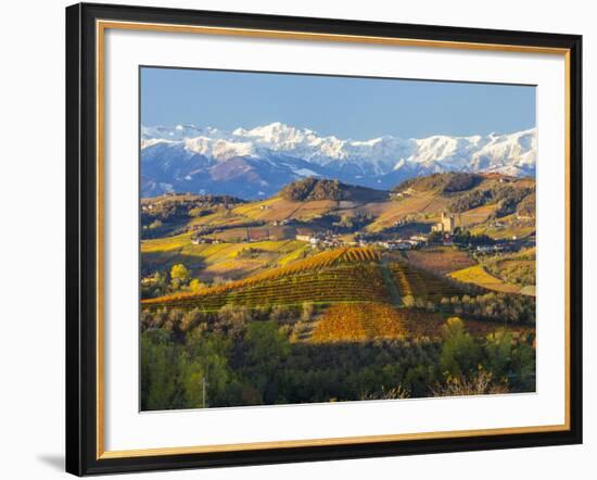 Vineyards and Castle, Grinzane Cavour, Cuneo District, Langhe-Peter Adams-Framed Photographic Print