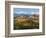 Vineyards and Castle, Grinzane Cavour, Cuneo District, Langhe-Peter Adams-Framed Photographic Print