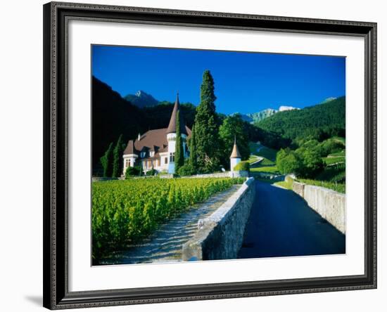 Vineyards and Chateau, Montreux, Switzerland-Peter Adams-Framed Photographic Print