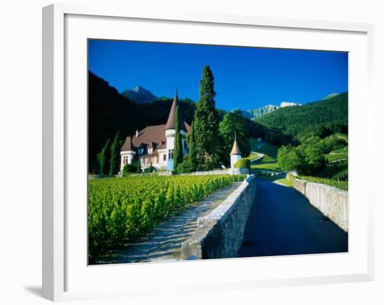 Vineyards and Chateau, Montreux, Switzerland-Peter Adams-Framed Photographic Print