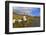 Vineyards and church near Piesport, Moselle Valley, Rhineland-Palatinate, Germany, Europe-Hans-Peter Merten-Framed Photographic Print