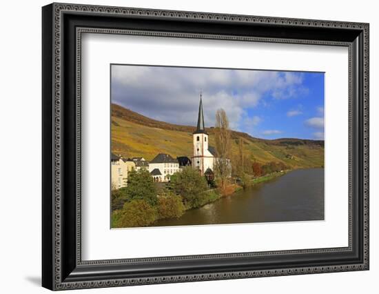 Vineyards and church near Piesport, Moselle Valley, Rhineland-Palatinate, Germany, Europe-Hans-Peter Merten-Framed Photographic Print