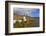 Vineyards and church near Piesport, Moselle Valley, Rhineland-Palatinate, Germany, Europe-Hans-Peter Merten-Framed Photographic Print