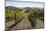 Vineyards and Hills-Stuart Black-Mounted Photographic Print