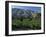 Vineyards and Montagne Ste. Victoire, Near Aix-En-Provence, Bouches-Du-Rhone, Provence, France-David Hughes-Framed Photographic Print