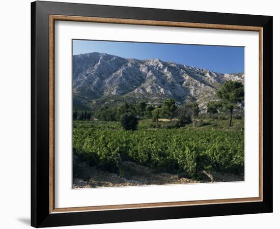 Vineyards and Montagne Ste. Victoire, Near Aix-En-Provence, Bouches-Du-Rhone, Provence, France-David Hughes-Framed Photographic Print