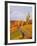 Vineyards and poplars in autumn-Herbert Kehrer-Framed Photographic Print