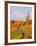 Vineyards and poplars in autumn-Herbert Kehrer-Framed Photographic Print