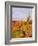 Vineyards and poplars in autumn-Herbert Kehrer-Framed Photographic Print