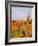 Vineyards and poplars in autumn-Herbert Kehrer-Framed Photographic Print