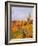 Vineyards and poplars in autumn-Herbert Kehrer-Framed Photographic Print