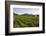 Vineyards and Stift Gottfried, Krems, Wachau, Austria-Charles Bowman-Framed Photographic Print