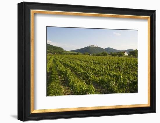 Vineyards and Stift Gottfried, Krems, Wachau, Austria-Charles Bowman-Framed Photographic Print