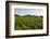 Vineyards and Stift Gottfried, Krems, Wachau, Austria-Charles Bowman-Framed Photographic Print