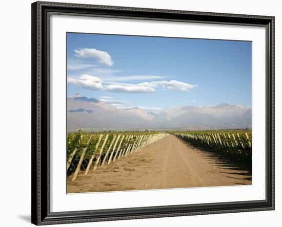 Vineyards and the Andes Mountains in Lujan De Cuyo, Mendoza, Argentina, South America-Yadid Levy-Framed Photographic Print