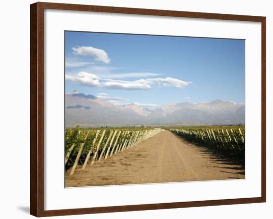 Vineyards and the Andes Mountains in Lujan De Cuyo, Mendoza, Argentina, South America-Yadid Levy-Framed Photographic Print