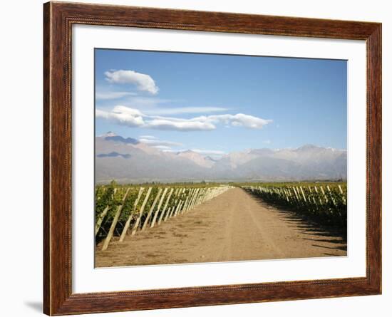 Vineyards and the Andes Mountains in Lujan De Cuyo, Mendoza, Argentina, South America-Yadid Levy-Framed Photographic Print