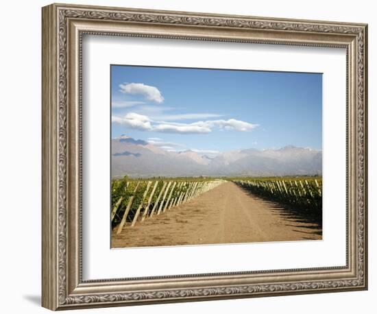 Vineyards and the Andes Mountains in Lujan De Cuyo, Mendoza, Argentina, South America-Yadid Levy-Framed Photographic Print