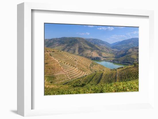 Vineyards and the Douro River, Alto Douro Wine Valley, UNESCO World Heritage Site, Portugal, Europe-Richard Maschmeyer-Framed Photographic Print
