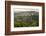 Vineyards and the Hill Top Town of Vedrijan, Goriska Brda, Slovenia, Europe-Matthew Williams-Ellis-Framed Photographic Print