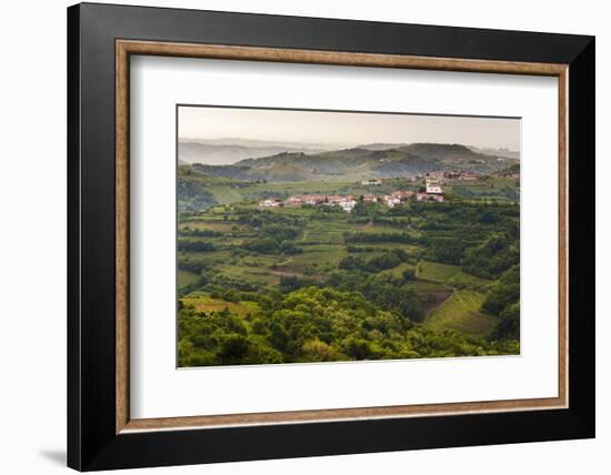 Vineyards and the Hill Top Town of Vedrijan, Goriska Brda, Slovenia, Europe-Matthew Williams-Ellis-Framed Photographic Print