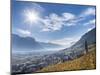 Vineyards and the Valley of the River Etsch. South Tyrol, Italy-Martin Zwick-Mounted Photographic Print