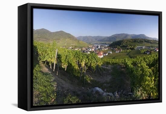 Vineyards and View at Spitz with the Danube, Austria, Wachau, Spitz at the Danube-Volker Preusser-Framed Premier Image Canvas