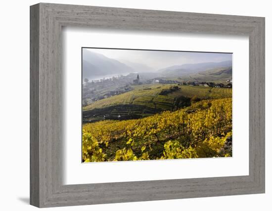 Vineyards and View at Wei�nkirchen and the Danube, Austria-Volker Preusser-Framed Photographic Print