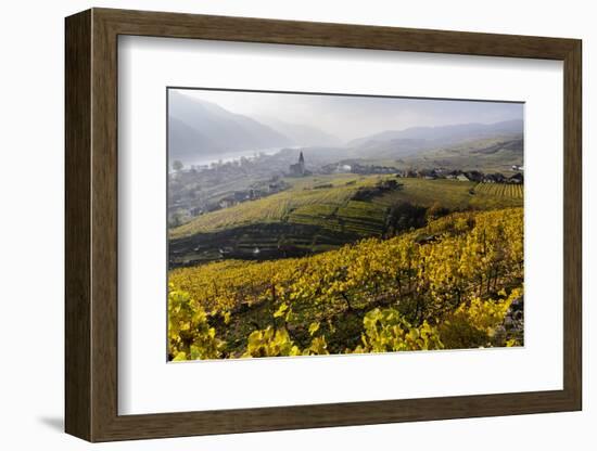 Vineyards and View at Wei�nkirchen and the Danube, Austria-Volker Preusser-Framed Photographic Print