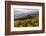 Vineyards and View at Wei�nkirchen and the Danube, Austria-Volker Preusser-Framed Photographic Print