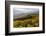 Vineyards and View at Wei�nkirchen and the Danube, Austria-Volker Preusser-Framed Photographic Print