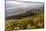 Vineyards and View at Wei�nkirchen and the Danube, Austria-Volker Preusser-Mounted Photographic Print