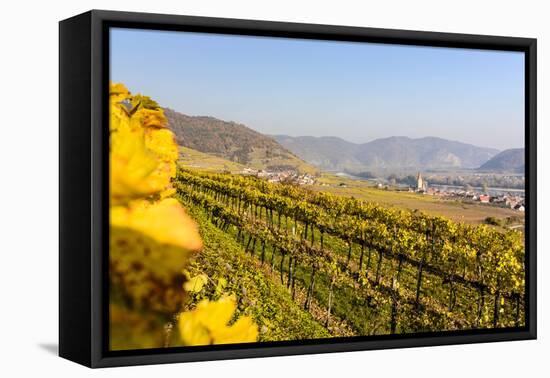 Vineyards and View at Wei�nkirchen and the Danube, Austria-Volker Preusser-Framed Premier Image Canvas