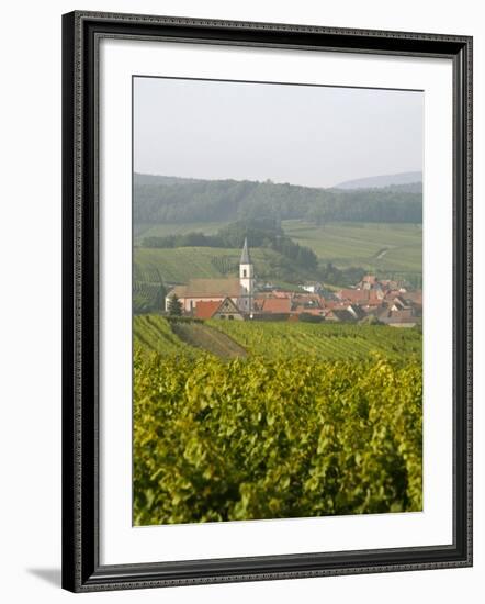 Vineyards and Villages Along the Wine Route, Alsace, France, Europe-Yadid Levy-Framed Photographic Print