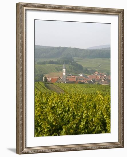 Vineyards and Villages Along the Wine Route, Alsace, France, Europe-Yadid Levy-Framed Photographic Print