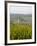 Vineyards and Villages Along the Wine Route, Alsace, France, Europe-Yadid Levy-Framed Photographic Print