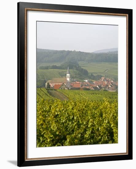 Vineyards and Villages Along the Wine Route, Alsace, France, Europe-Yadid Levy-Framed Photographic Print