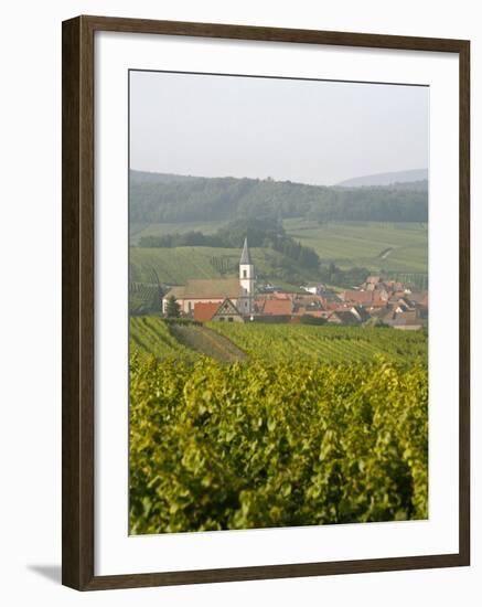 Vineyards and Villages Along the Wine Route, Alsace, France, Europe-Yadid Levy-Framed Photographic Print