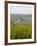Vineyards and Villages Along the Wine Route, Alsace, France, Europe-Yadid Levy-Framed Photographic Print
