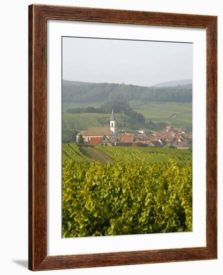 Vineyards and Villages Along the Wine Route, Alsace, France, Europe-Yadid Levy-Framed Photographic Print