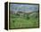 Vineyards Around Dogliani, the Langhe, Piedmont, Italy-Sheila Terry-Framed Premier Image Canvas