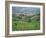 Vineyards Around Dogliani, the Langhe, Piedmont, Italy-Sheila Terry-Framed Photographic Print