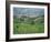 Vineyards Around Dogliani, the Langhe, Piedmont, Italy-Sheila Terry-Framed Photographic Print