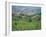 Vineyards Around Dogliani, the Langhe, Piedmont, Italy-Sheila Terry-Framed Photographic Print