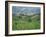 Vineyards Around Dogliani, the Langhe, Piedmont, Italy-Sheila Terry-Framed Photographic Print