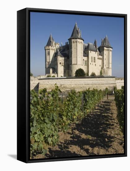 Vineyards around the Chateau De Saumur, Maine-et-Loire, Pays De La Loire, France, Europe-James Emmerson-Framed Premier Image Canvas