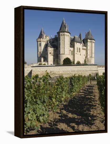 Vineyards around the Chateau De Saumur, Maine-et-Loire, Pays De La Loire, France, Europe-James Emmerson-Framed Premier Image Canvas